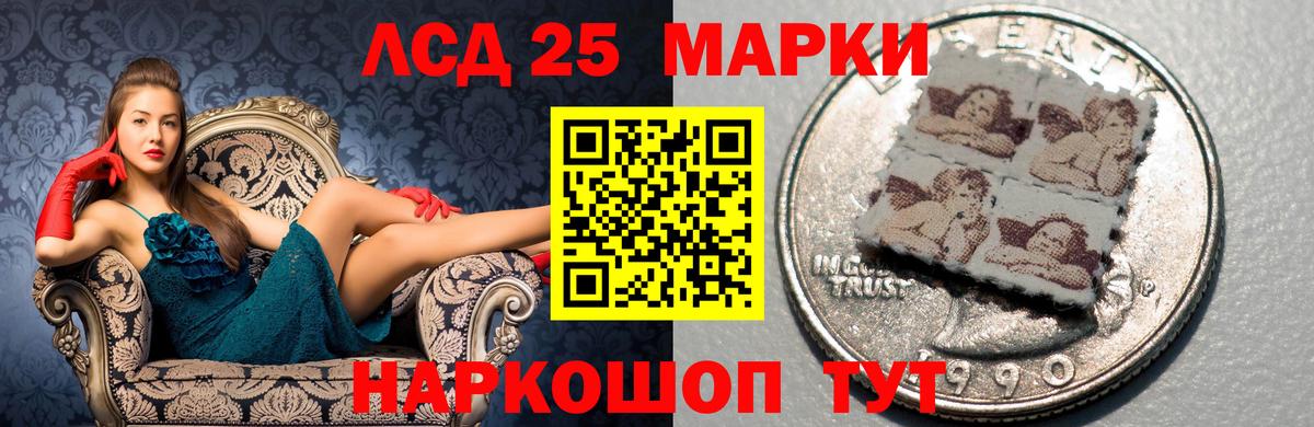 блэк спрут маркетплейс  Вход с VPN  Волгодонск  ЛСД экстази кислота 