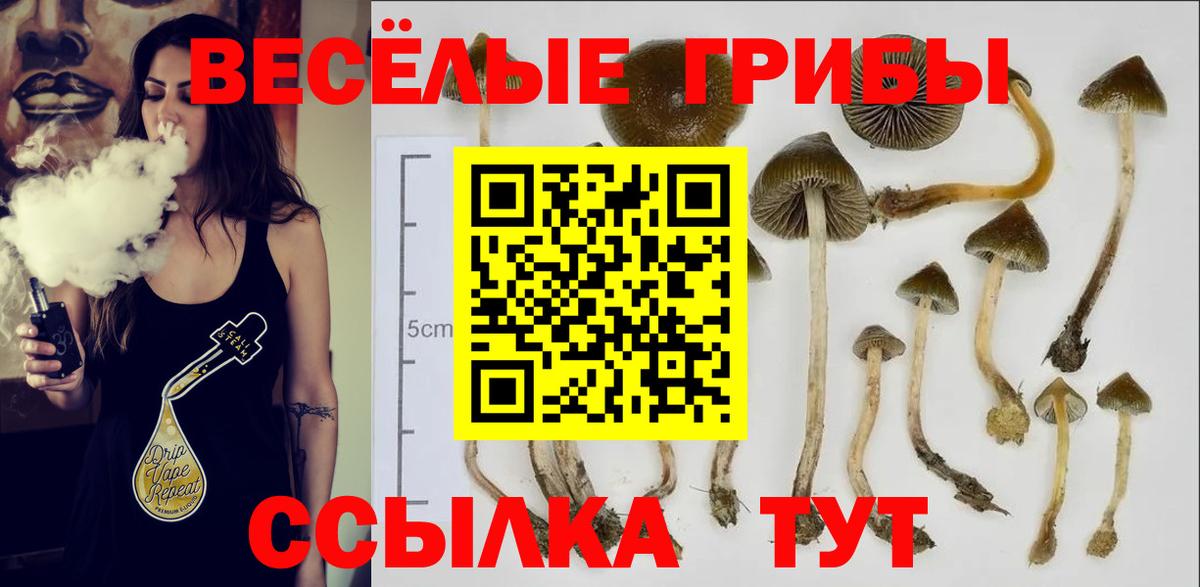 Галлюциногенные грибы мухоморы  Вход с VPN  Волгодонск 
